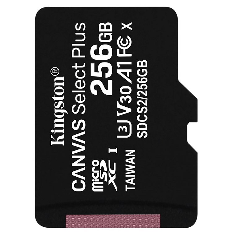 金士頓（Kingston）256GB A1 V30 U3 switch內存卡 讀速100MB/s 寫速85MB/s_http://www.nebao.cn/img/images/C202103/1615967833024.jpg