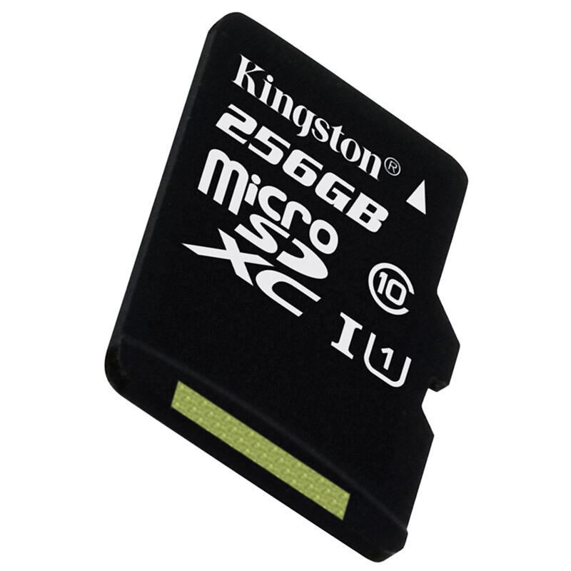 金士頓（Kingston） 內存卡 高速行車記錄儀 TF(Micro SD) Class10 UHS-I 手機存儲卡（256GB）_http://www.nebao.cn/img/sp/276/995ff218-89ff-43c3-80c2-5bbb9e5e09a6.jpg