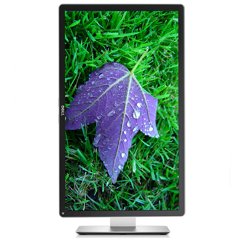 戴爾（DELL） P2415Q 23.8英寸4K超高清旋轉升降IPS屏顯示器_http://www.nebao.cn/img/sp/294/20525694-ebac-4147-90c5-b9d4cd343ec1.jpg