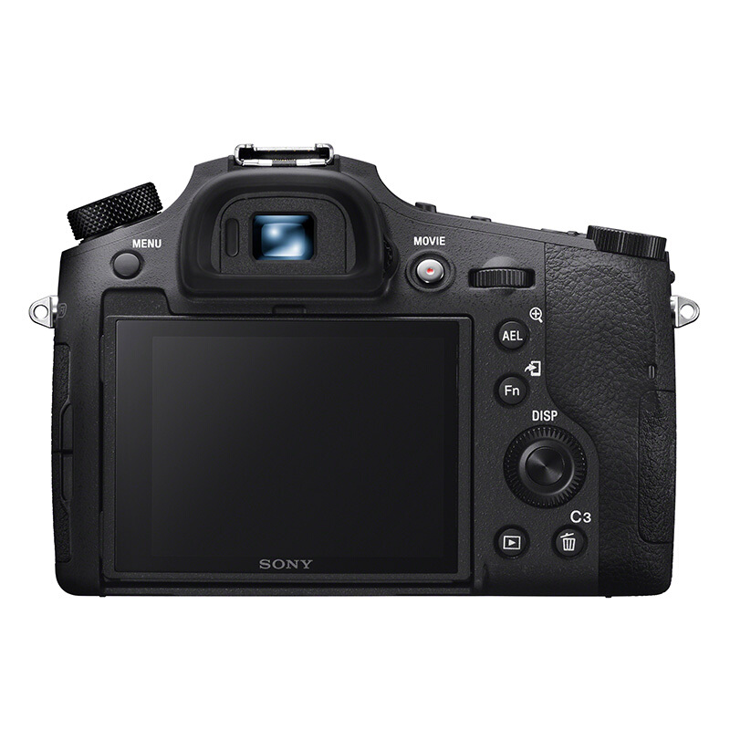 索尼（SONY） RX10 IV 黑卡超長焦旗艦數碼相機24mm-600m F2.4-F4蔡司鏡頭（DSC-RX10M4）_http://www.nebao.cn/img/sp/307/10eee494-1933-4c14-9364-b0630a47fc6c.jpg