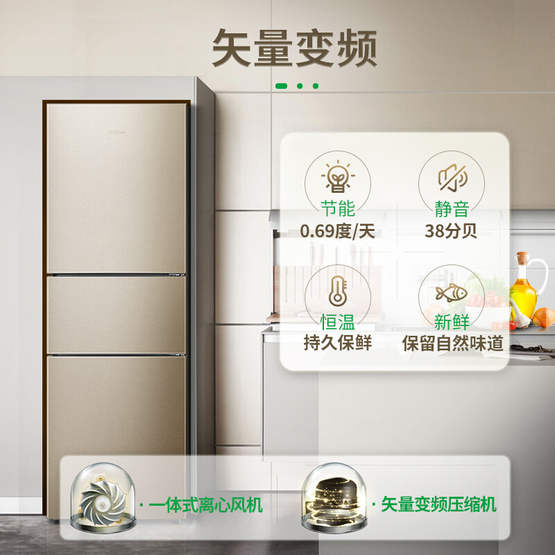 容聲(Ronshen) BCD-252WD11NPA 252升 三門冰箱_http://www.nebao.cn/img/sp/331/22ddc659-9d72-4f39-96ce-a69f0f5140b6.jpg