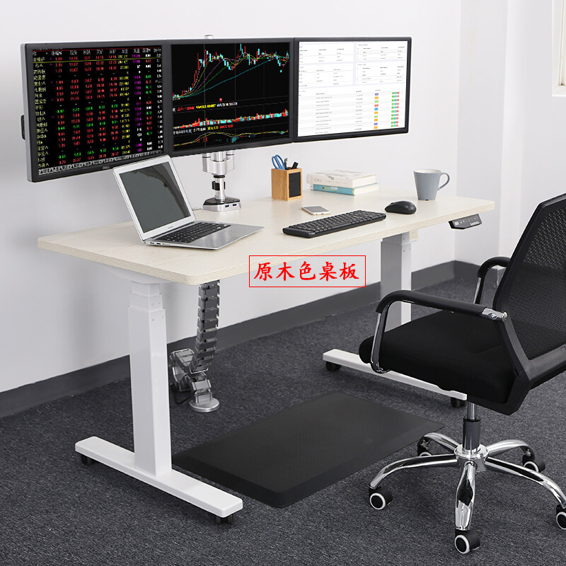 樂歌（Loctek） E3 呵護腰椎站立辦公電動升降桌/立柱3節 (桌面尺寸1800*800mm) 