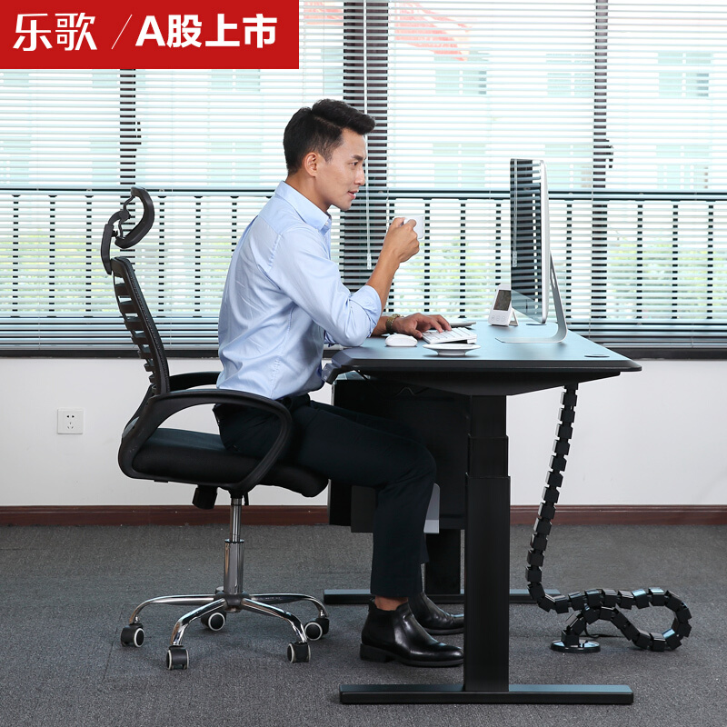 樂歌（Loctek） E3 呵護腰椎站立辦公電動升降桌/立柱3節 (桌面尺寸1200*600mm) 