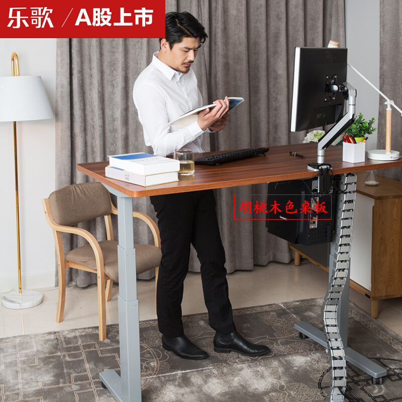 樂歌（Loctek） E3 呵護腰椎站立辦公電動升降桌/立柱3節 (桌面尺寸1400*700mm) 