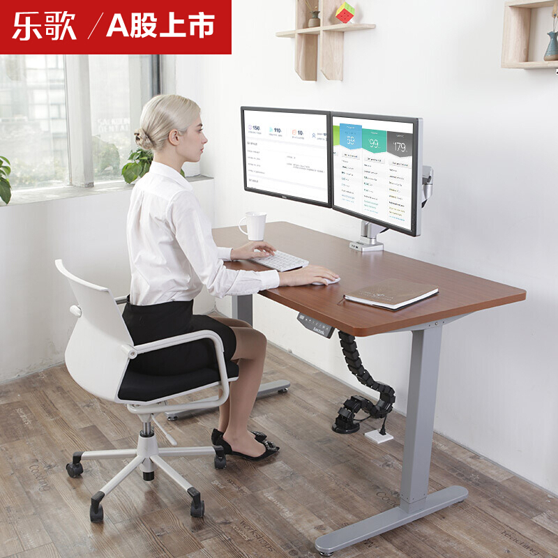 樂(lè)歌（Loctek） E1D 站立辦公電動(dòng)升降桌套裝 (灰色桌架/胡桃木色桌板/方型1800x800mm) _http://www.nebao.cn/img/sp/361/9f3641db-1363-434d-9832-f90c2cc711a7.jpg